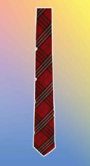 checktie.jpg
